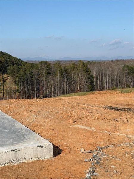 Site preparation for new homesites in , Gainesville (Image 47).