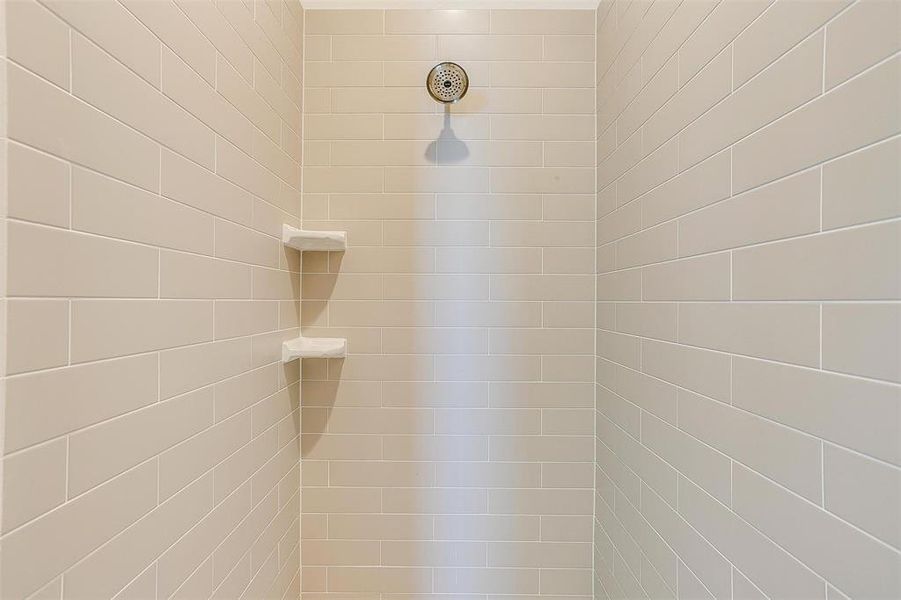 Interior details with a tile shower