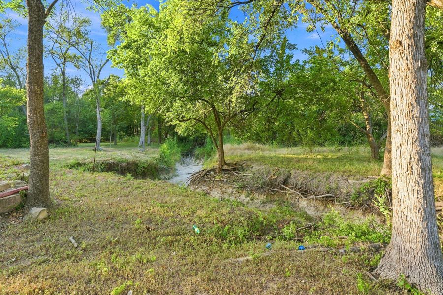 Natural landscape and outdoor views near  in Austin (Image 25).