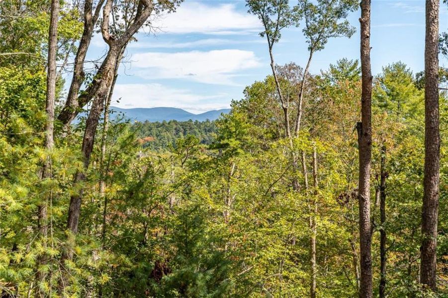 Natural landscape and outdoor views near  in Ellijay (Image 63).