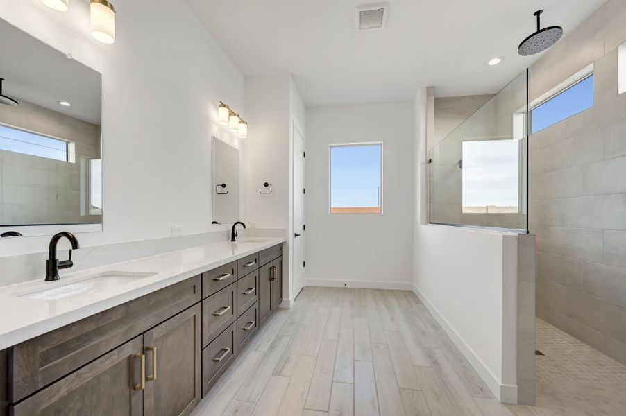 Owner's Bath Owner's Bath