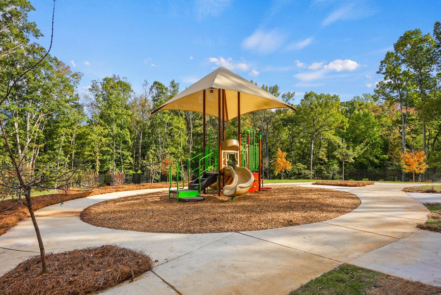 Community amenities in Saunders Farm, Willow Spring (Image 17). Community amenities in Saunders Farm, Willow Spring (Image 17).