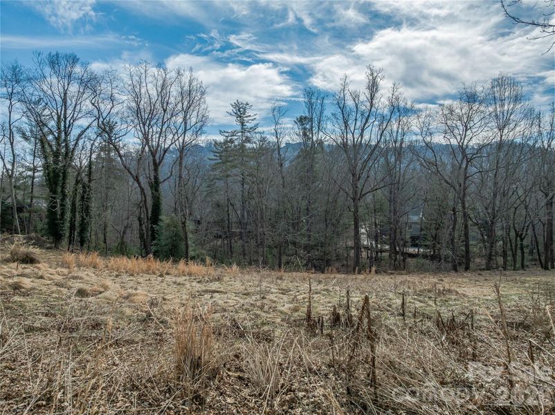 Natural landscape and outdoor views near  in Arden (Image 17).