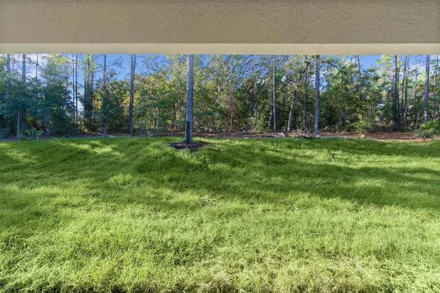 Exterior details and patio area of a home in , Citrus Springs (Image 24).