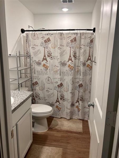 Bathroom featuring dark wood-type flooring, a shower with shower curtain, and vanity Bathroom featuring dark wood-type flooring, a shower with shower curtain, and vanity