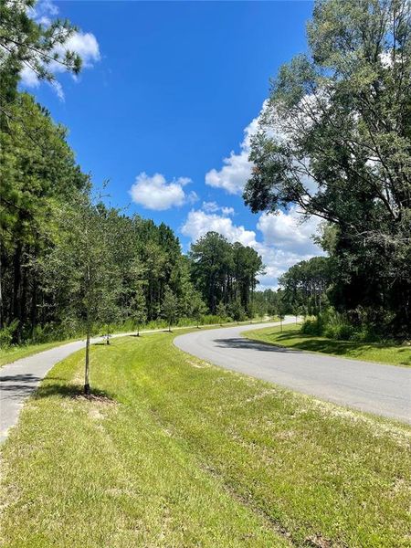 Natural landscape and outdoor views near  in Newberry (Image 16).