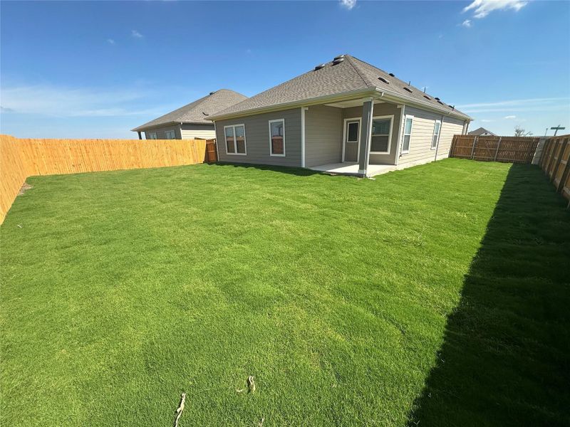 Rear of Home & Private Backyard Rear of Home & Private Backyard