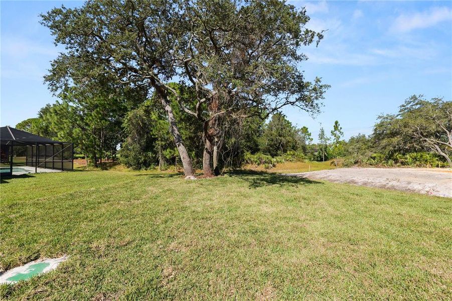 Natural landscape and outdoor views near in Sebring (Image 47). Natural landscape and outdoor views near in Sebring (Image 47).