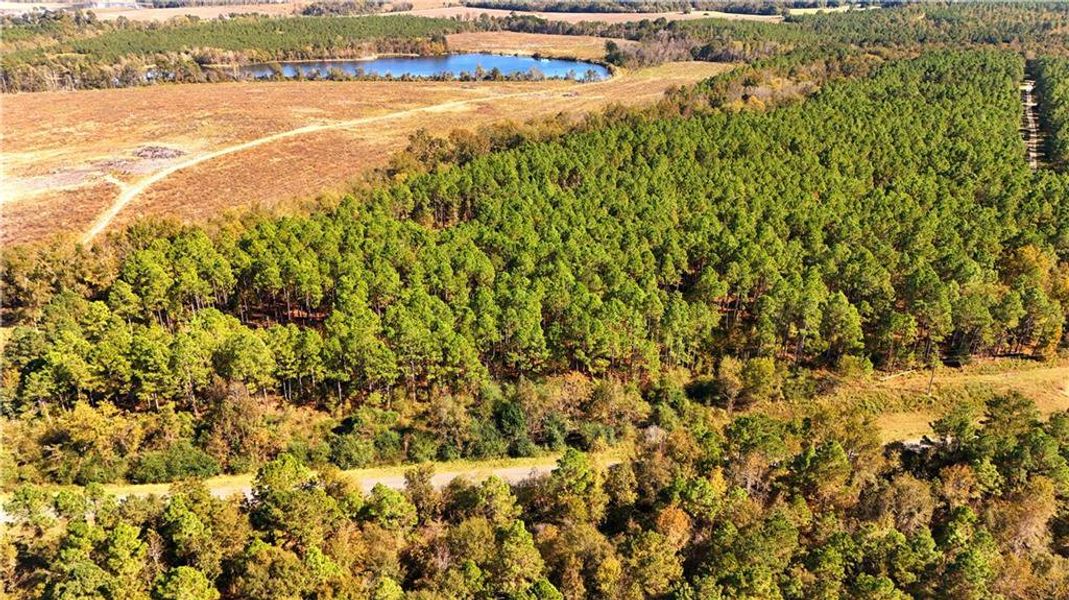 Natural landscape and outdoor views near  in Chester (Image 16).