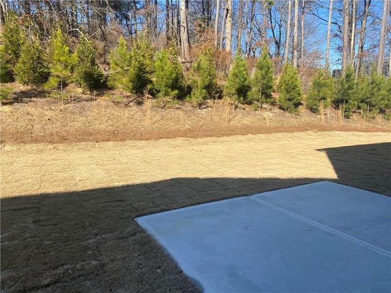 Natural landscape and outdoor views near Riverside Ridge in Lawrenceville (Image 33). Natural landscape and outdoor views near Riverside Ridge in Lawrenceville (Image 33).
