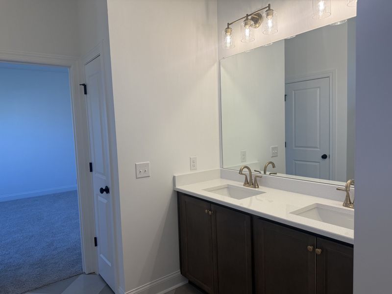 Owner's Bath