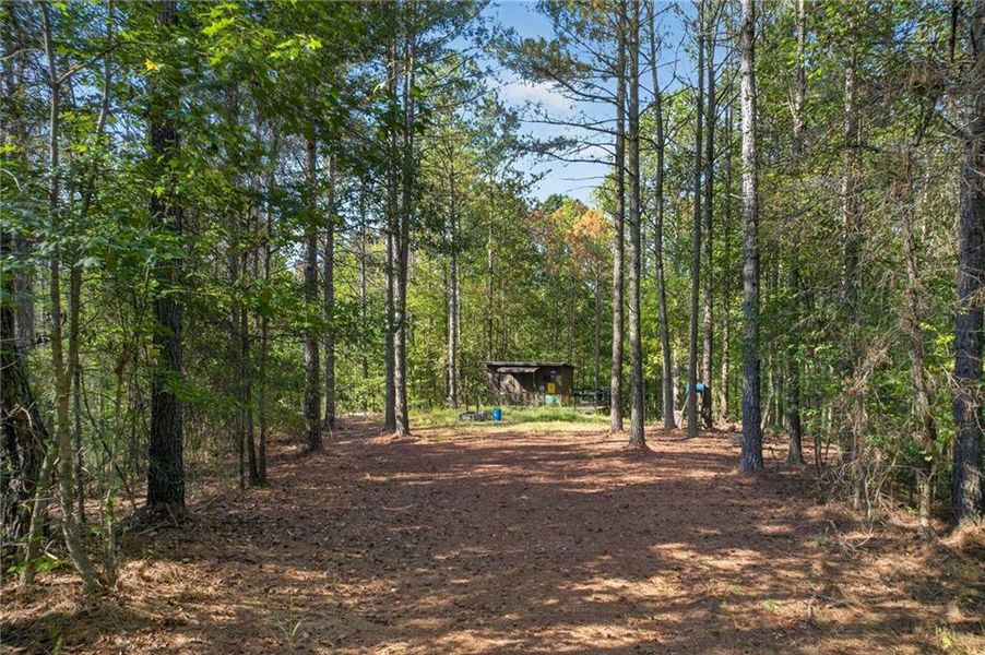 Natural landscape and outdoor views near  in Rockmart (Image 42).