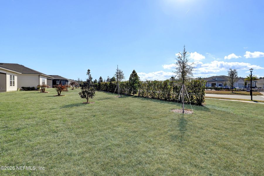 Natural landscape and outdoor views near  in Palm Coast (Image 19).