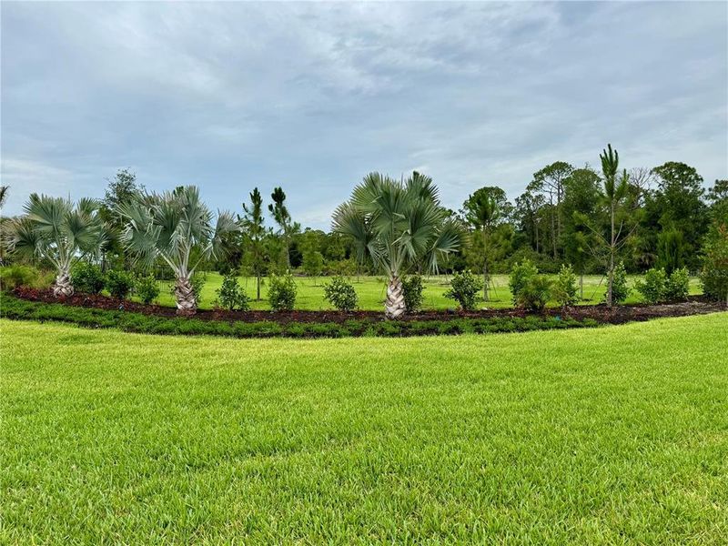 Natural landscape and outdoor views near Grand Park in Sarasota (Image 29). Natural landscape and outdoor views near Grand Park in Sarasota (Image 29).