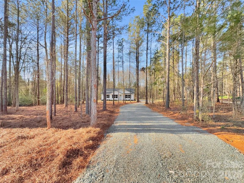 Nice long driveway and plenty of trees on this 1.24 are lot! Nice long driveway and plenty of trees on this 1.24 are lot!