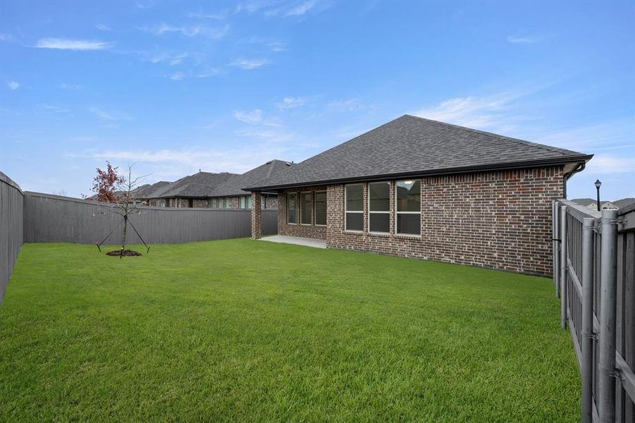 7502 Prairie Holly- Back-1