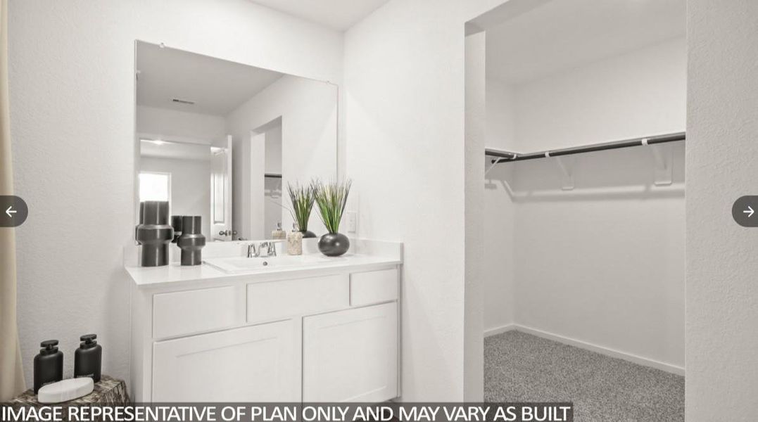 Photo Renderings