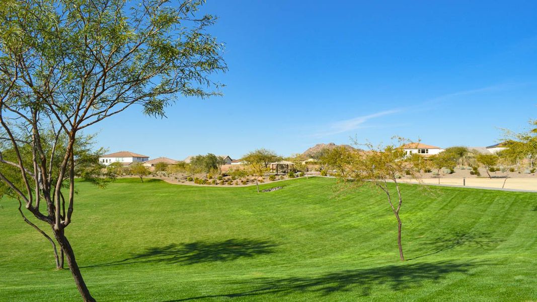 Community amenities associated with the Amherst by D.R. Horton in Aloravita, Peoria (Image 23).