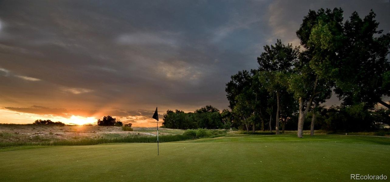 Natural landscape and outdoor views near  in Aurora (Image 22).