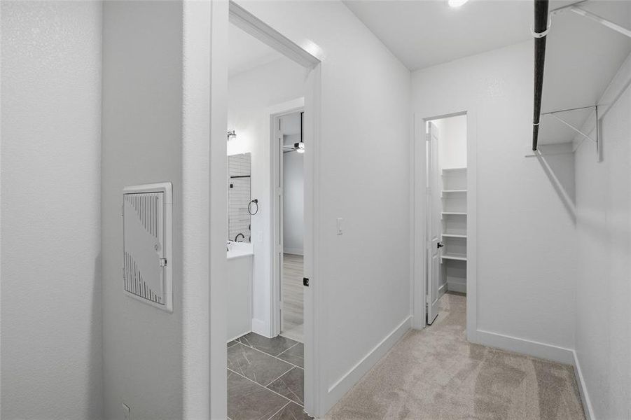 Walk in closet with light colored carpet