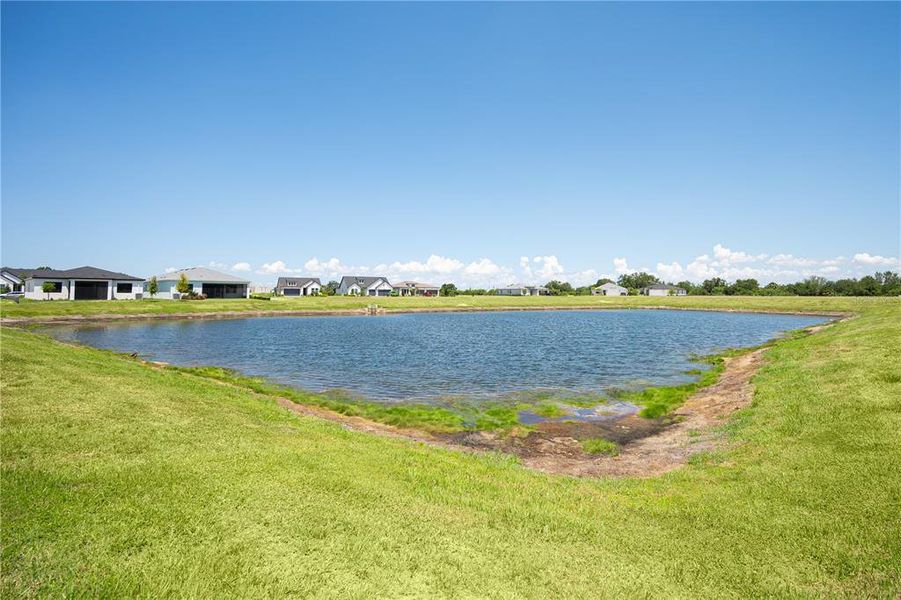 Natural landscape and outdoor views near  in Apollo Beach (Image 34).