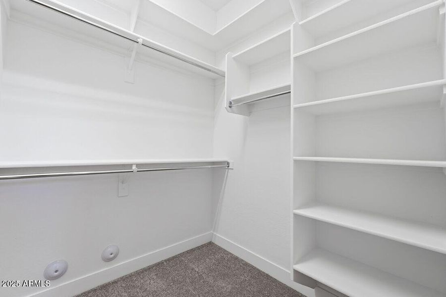 4198 E BRITTLEBUSH Lane - Ready Now! 4198 E BRITTLEBUSH Lane - Ready Now!