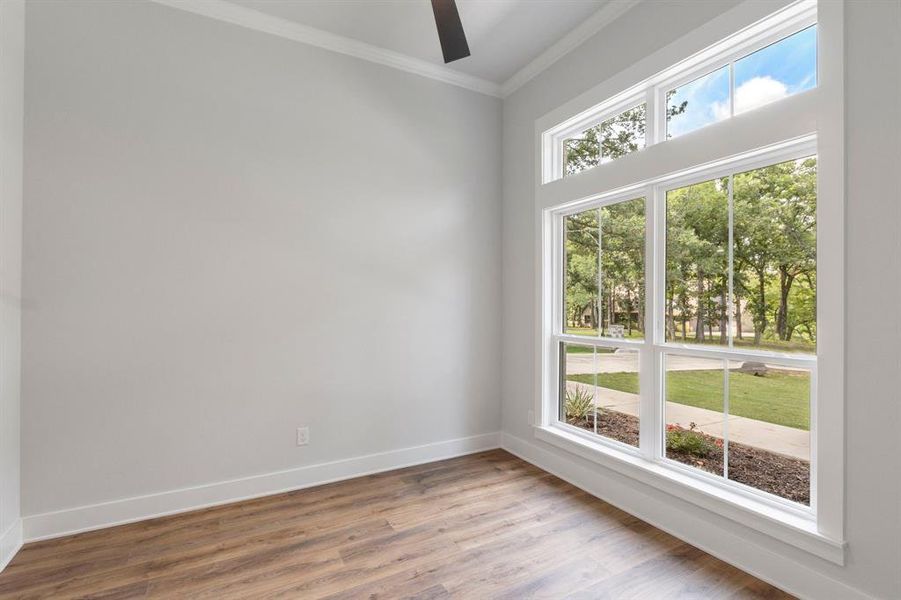 Spare room featuring ornamental molding, wood-type flooring, and a wealth of natural light