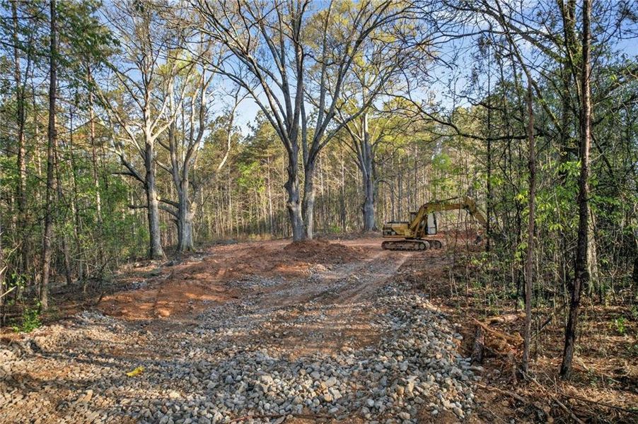 Natural landscape and outdoor views near  in Tallapoosa (Image 42).