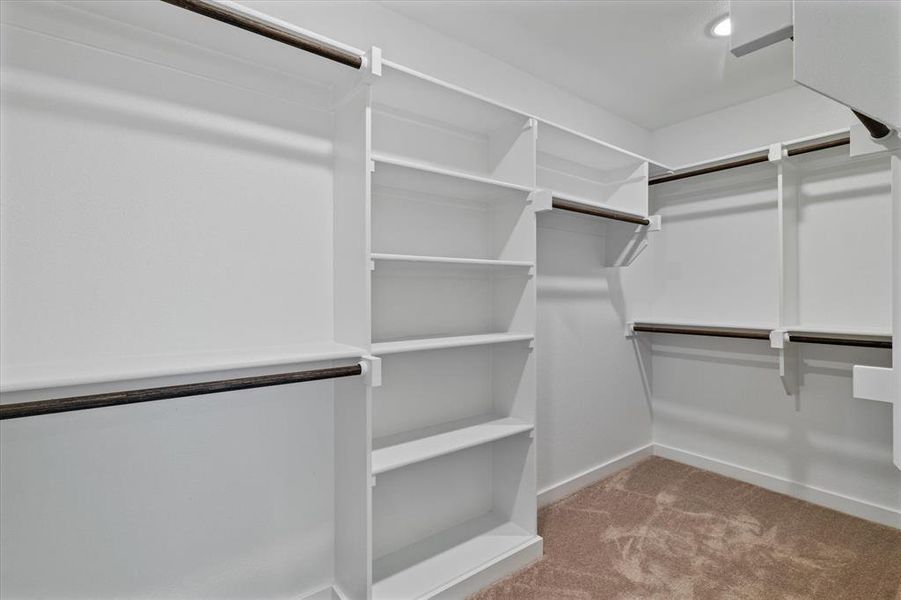 Walk in Master closet featuring carpet