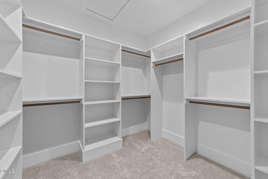 49-web-or-mls-VB4A8181