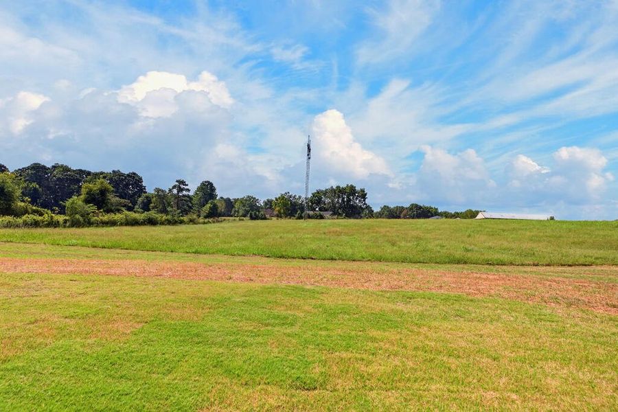 Natural landscape and outdoor views near Veal Meadows in Roopville (Image 54). Natural landscape and outdoor views near Veal Meadows in Roopville (Image 54).