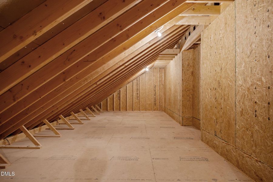 45-web-or-mls-IMG_5981