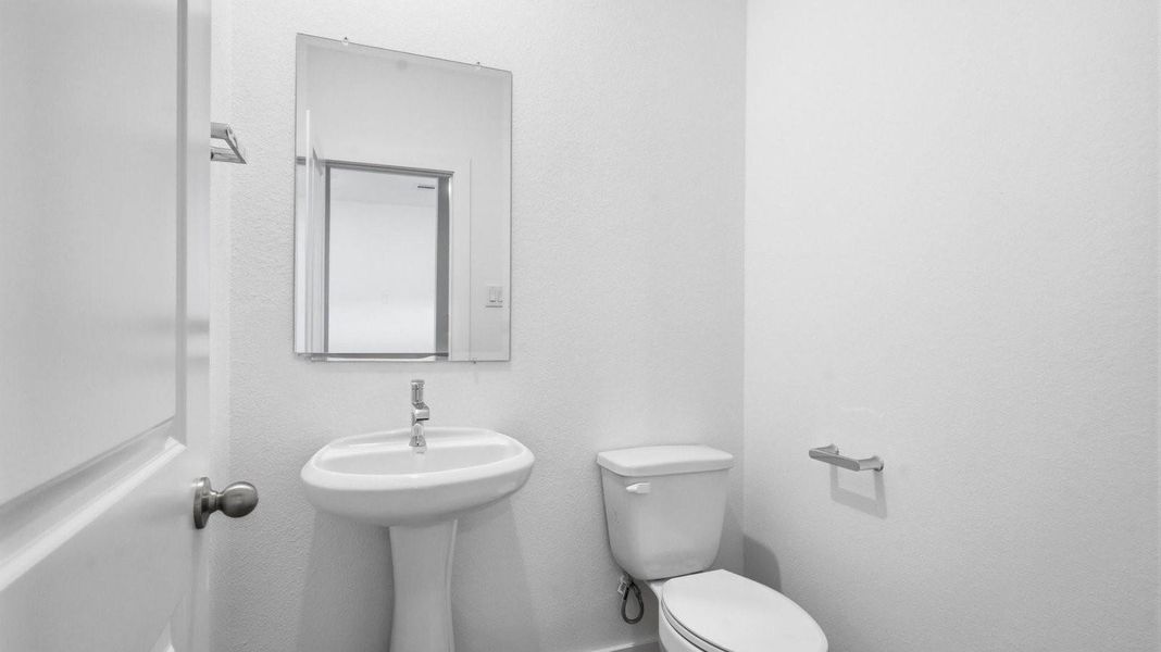 A decorated half bathroom downstairs for guests A decorated half bathroom downstairs for guests