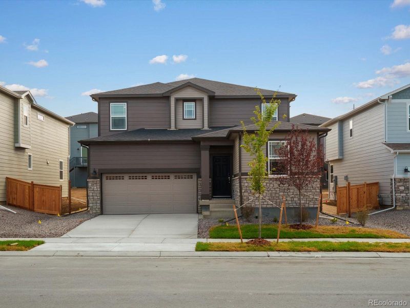 Image 24 of a home in Buffalo Highlands: The Flora Collection.