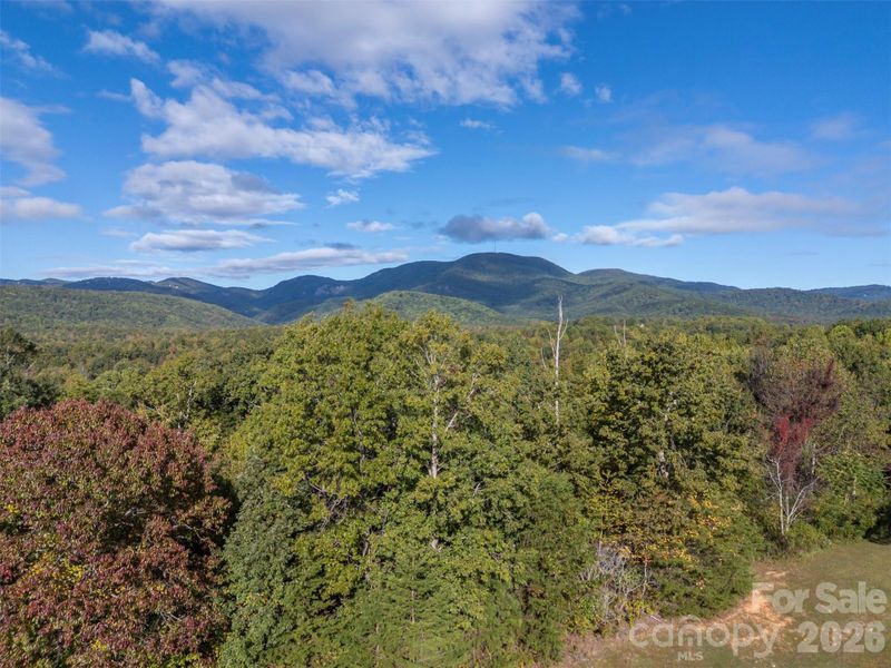 Natural landscape and outdoor views near  in Landrum (Image 8).