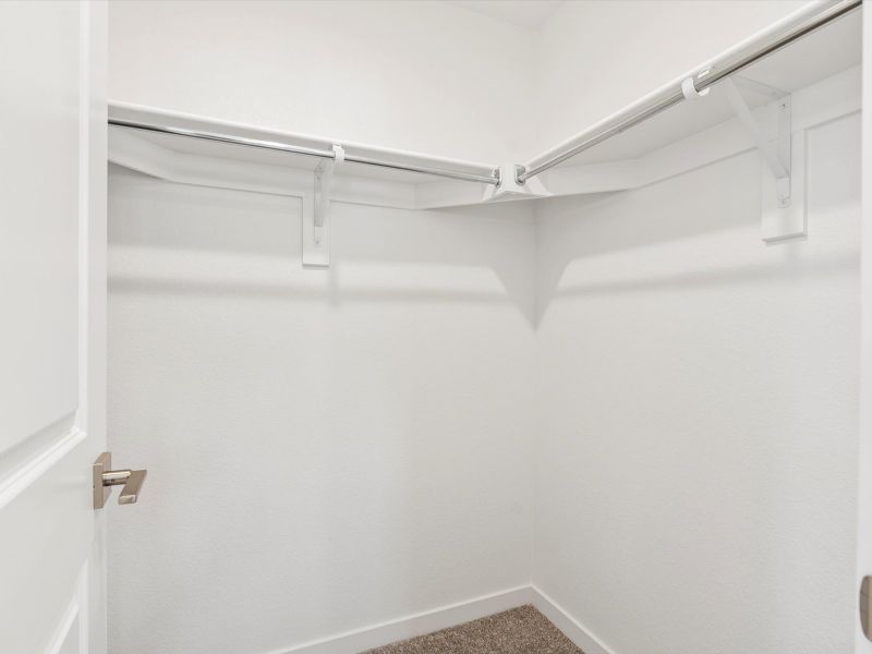 Image 9 representing the Willow by Lokal Homes in The Commons at Victory Ridge, Colorado Springs, CO.