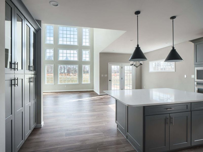 Gourmet Kitchen and Family Room