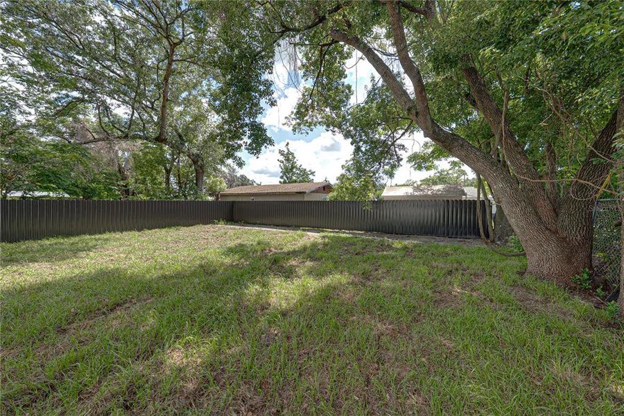 Natural landscape and outdoor views near in Lakeland (Image 37). Natural landscape and outdoor views near in Lakeland (Image 37).
