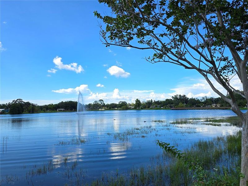 Natural landscape and outdoor views near in Clearwater (Image 24). Natural landscape and outdoor views near in Clearwater (Image 24).