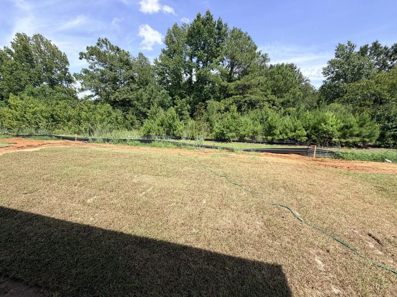 Natural landscape and outdoor views near Crossing at Givhans in Ridgeville (Image 4).
