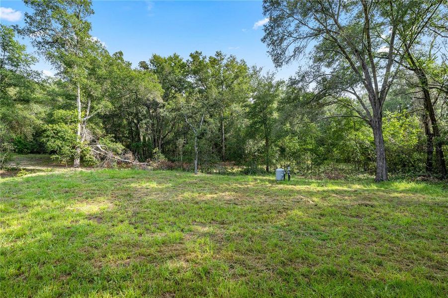 Natural landscape and outdoor views near  in Citrus Springs (Image 26).