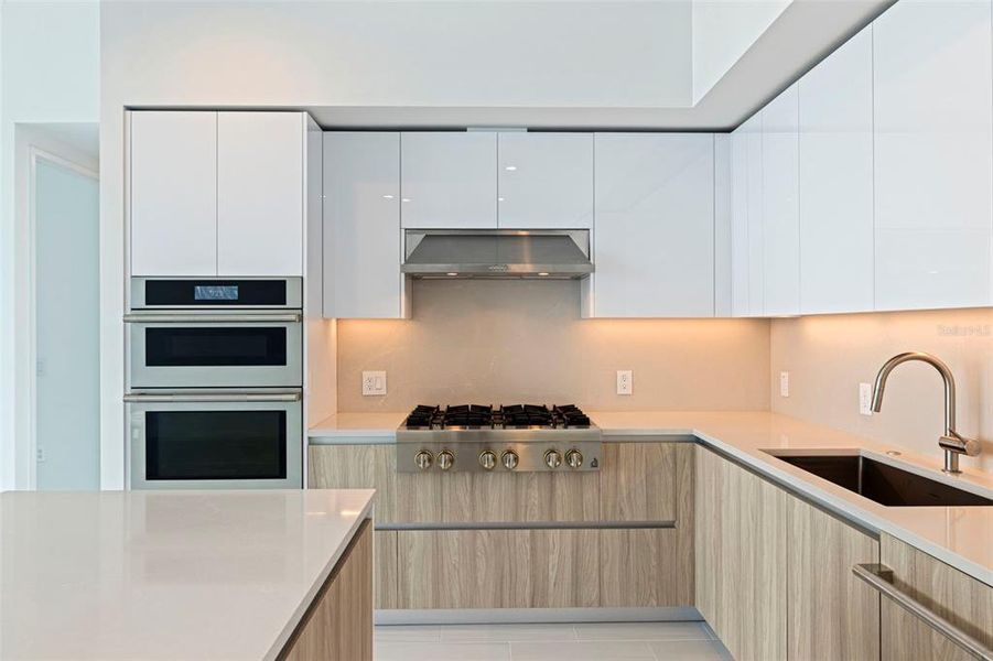 Furnished interior view inside a new home in , St. Petersburg (Image 19).
