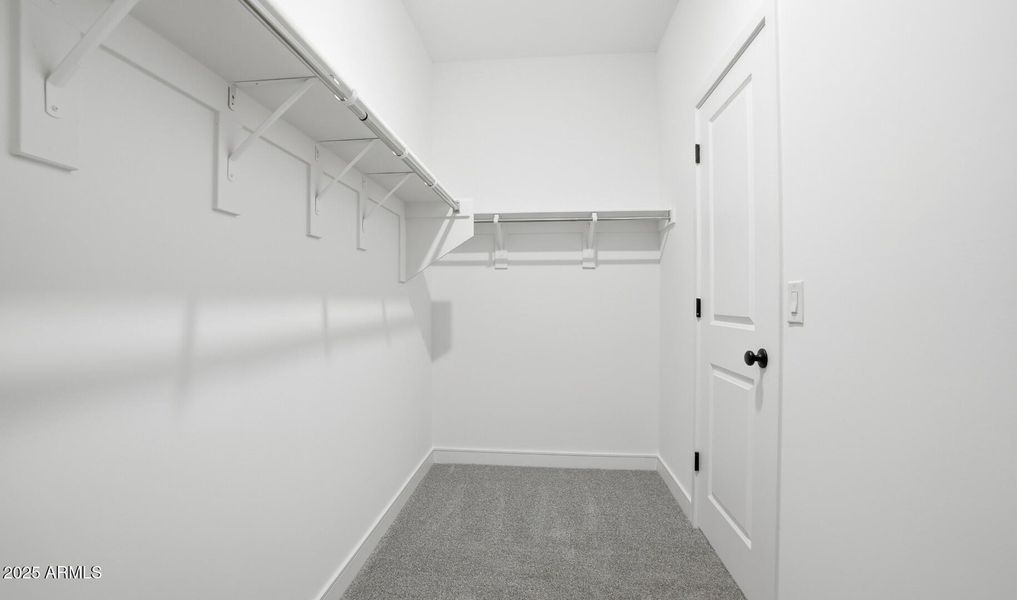 MR Lot #50 Primary Closet (Large)
