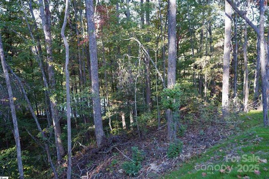 Natural landscape and outdoor views near  in Travelers Rest (Image 6).