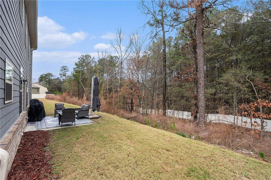 Exterior details and patio area of a home in Ridgewater, Loganville (Image 3).