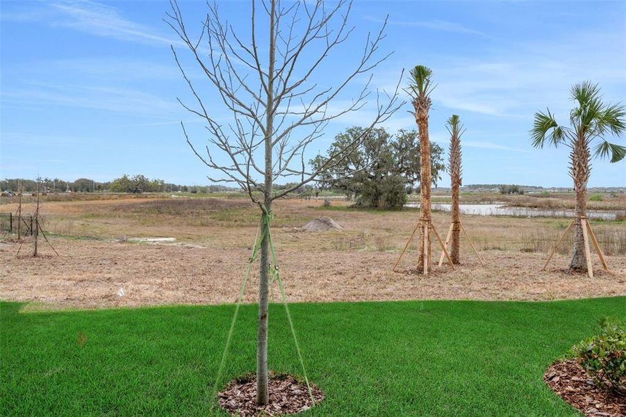 Natural landscape and outdoor views near Shores at Mirada in San Antonio (Image 31).
