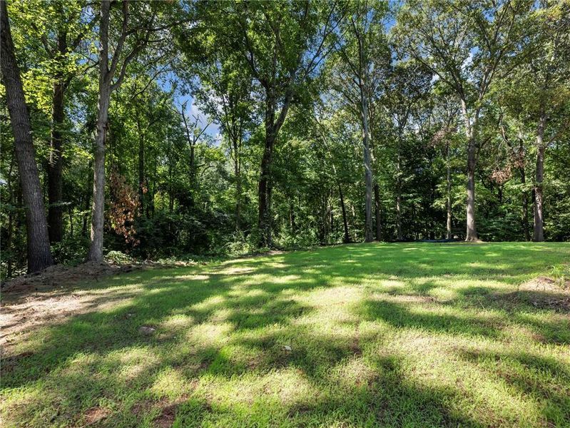 Natural landscape and outdoor views near in Maysville (Image 39). Natural landscape and outdoor views near in Maysville (Image 39).