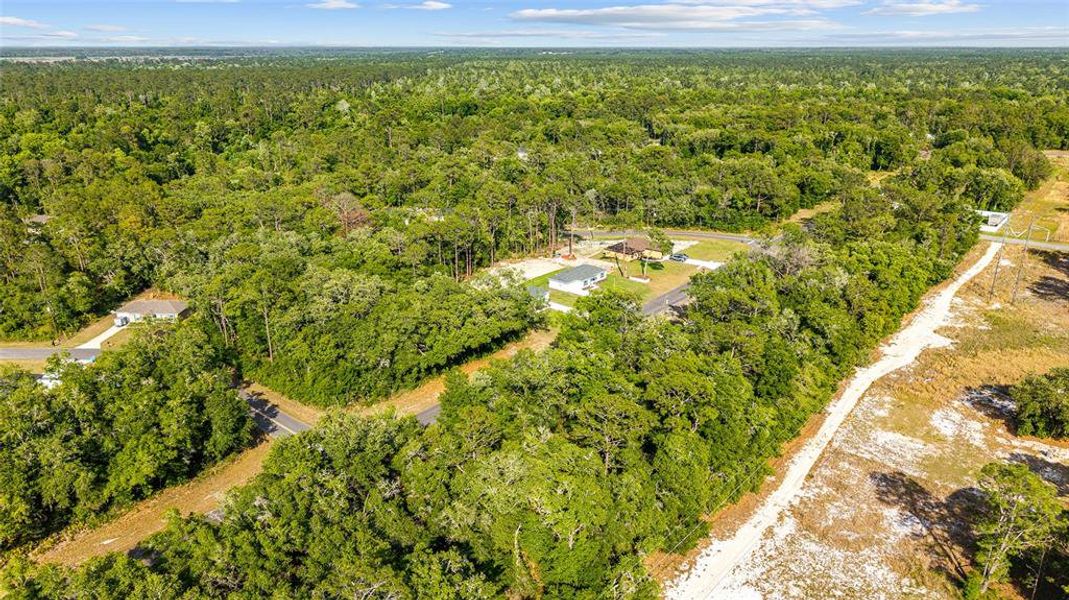 Natural landscape and outdoor views near  in Ocala (Image 32).