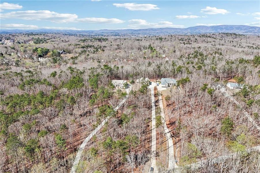 Natural landscape and outdoor views near  in Canton (Image 87).
