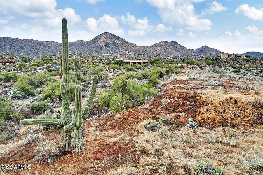 e0178e99834e4e81084828a14056c2a1-uncropp